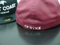 画像2: *[SALE] Animal Newera East Coast Cap