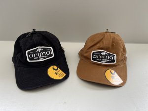 画像1: *Animal Union Carhartt Hat (1)