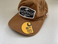 画像2: *Animal Union Carhartt Hat