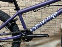 画像2: 2023 Sunday Forecaster Park [20.5"TT] Matt Midnight Purple